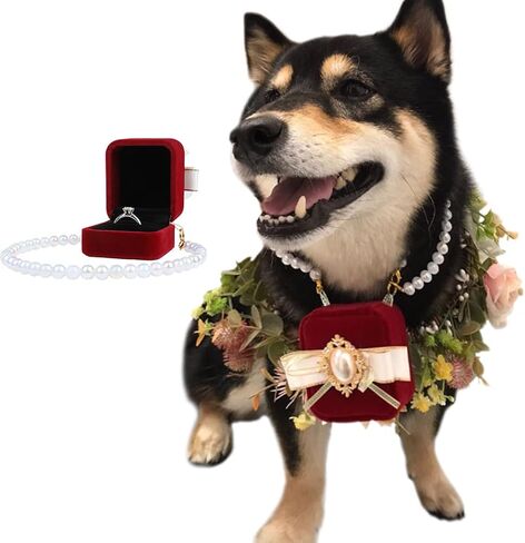 La La Pet® Detachable Pet Wedding Collar with Ring Box Wedding Ring Holder Dog Collar Cat Wedding Collar Couple Ring Storage Box for Proposal Engagement Wedding Party S in Kuwait