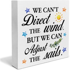 Inspirational Sign Positive Quote Wooden Box Sign We Can’t Direct the Wind Desk Decorative Wooden Sign Home Office Decor for Desk Table Shelf 5 x 5 Inches