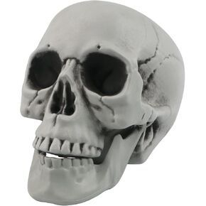 رأس جمجمة كبير لديكور الهالوين، رأس هيكل عظمي بشري، ديكور جمجمة بلاستيكي 1:1، نموذج طبق الأصل لعظم الرأس، نموذج رأس بشري واقعي لحفلات الهالوين، ديكور منزلي، مقبرة مخيف، 7.9 × 5.9 بوصة in Kuwait