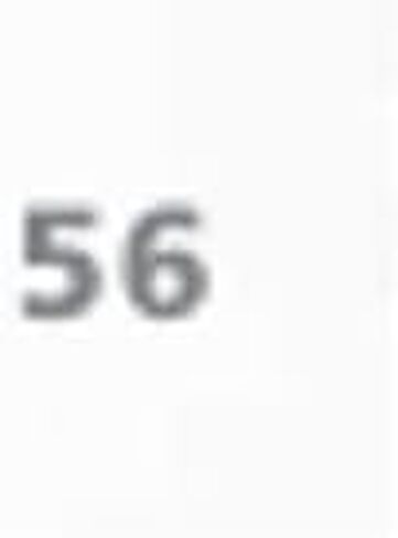 Mondor 167 Ankle Length Figure Skating Socks in Kuwait