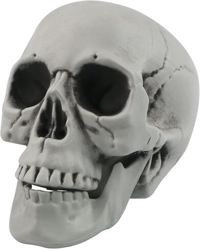 رأس جمجمة كبير لديكور الهالوين، رأس هيكل عظمي بشري، ديكور جمجمة بلاستيكي 1:1، نموذج طبق الأصل لعظم الرأس، نموذج رأس بشري واقعي لحفلات الهالوين، ديكور منزلي، مقبرة مخيف، 7.9 × 5.9 بوصة in Kuwait