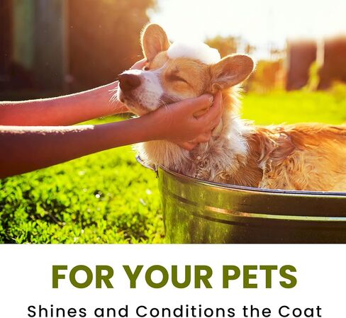 Dog Shampoo – Cleansing Wash, Conditioning, Moisturizing – Healthy Ingredients – Aromatic Grooming Puppy Shampoo – Tearless Cleaner, Coconut Papaya, 1 Gallon in Saudi Arabia