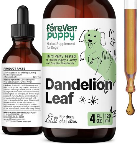 Dandelion Leaf Tincture for Dogs - Kidney Supplements for Dogs of All Breeds & Sizes - Dandelion Drops for Dogs - Herbal Dog Kidney Supplement - Vegan Kidney and Bladder Support Vitamins - 2 oz in Saudi Arabia