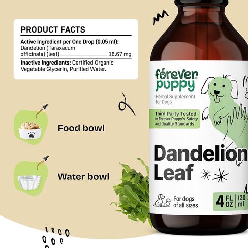 Dandelion Leaf Tincture for Dogs - Kidney Supplements for Dogs of All Breeds & Sizes - Dandelion Drops for Dogs - Herbal Dog Kidney Supplement - Vegan Kidney and Bladder Support Vitamins - 2 oz in Saudi Arabia