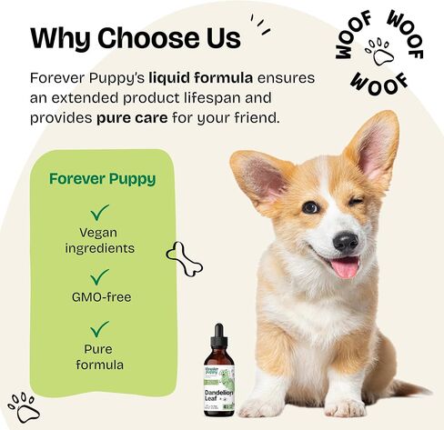 Dandelion Leaf Tincture for Dogs - Kidney Supplements for Dogs of All Breeds & Sizes - Dandelion Drops for Dogs - Herbal Dog Kidney Supplement - Vegan Kidney and Bladder Support Vitamins - 2 oz in Saudi Arabia
