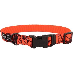 Coastal Pet - Water & Woods Blaze Adjustable Patterned Dog Collar by Coastal Pet - Durable Snap-Lock Buckle - Highly Visible with Forest Silhouette Pattern - Neon Pink Tree, 1" x 18" - 26"