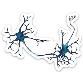 Neuron Sticker, Synapse Between Neurons, Neurology, Neuroscience Gift, Anatomy Art, Laptop Sticker, Water Bottle Sticker