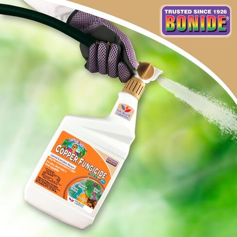 Bonide Captain Jack's Copper Fungicide, 32 oz Ready-to-Spray Disease Control Solution for Organic Gardening, Controls Leaf Curl in Kuwait