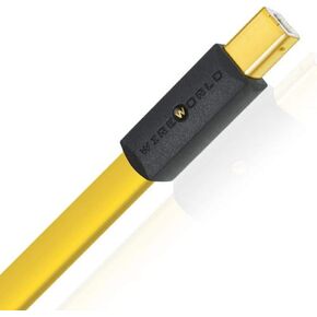 WIREWORLD Chroma 8 USB 2.0 Audio Cables - A to B (1.0 Meter)