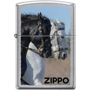Zippo Lighter- Animals Outdoors Nature Windproof Lighter (Snake Z5463)