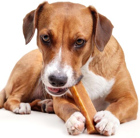 PIMA - Canine Cheese Chews, Natural Yak Chews for Dogs 65 lbs or Smaller, Lactose-Free Yak Cheese Dog Chews, Long Lasting Dog Chews with Protein and Vitamin E, D and A, Mixed Large, 3 Chews, 9.9 oz in Saudi Arabia