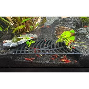 Shrimp Breeding Hide | Shrimp Cave | Shrimp Hide | Shrimp Tunnel | Black