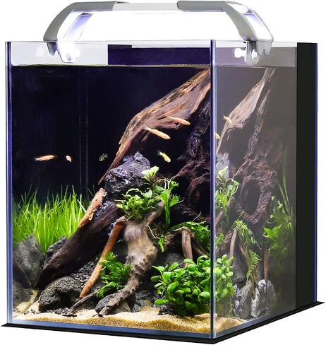 3 Gallon Fish Tank Starter Kit, Small Fish Tank with Filter and Adjustable 3 Color Lighting Self Cleaning Fish Bowl Rimless Aquarium with Leveling Mat for Beginners (Freshwater Fish Tank) in Saudi Arabia
