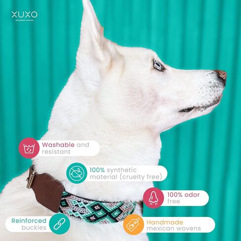 XUXO Dog Collar, Vegan Leather, Handmade, Durable, Valladolid, M in Saudi Arabia