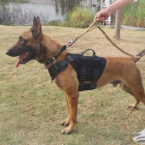 ICEFANG Reflective GN3 Tactical Dog Harness with 6X Buckles,for Large Sized Dogs,Dog Molle k9 Vest,Adjustable Pet Harness,No-Pulling Front Leash Clip (L (28"-35" Chest), Brown) in Saudi Arabia