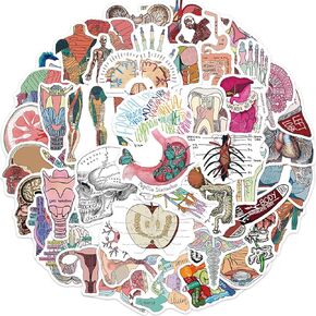 Anatomy Stickers, Biology Anatomy Stickers for Students Teachers, 50Pcs Waterproof Vinyl Stickers for Water Bottle Laptop Scrapbook, Halloween Stickers Bulk, Human Anatomy Decals
