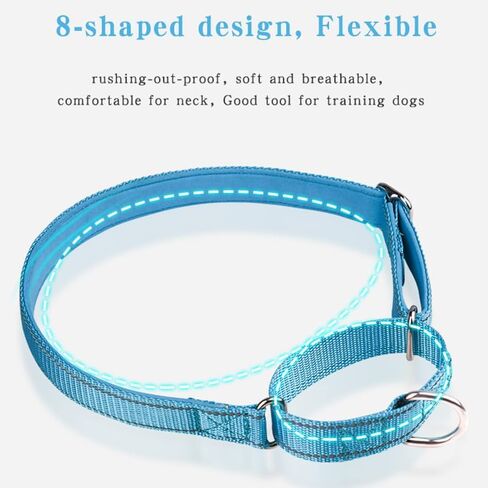 Reflective Martingale Dog Collar, NoBuckle Training Collar For Control & Safety. Service Dog Collar Available In A Vibrant, Colorful Collection, Suitable For Small Medium & Large Dogs Red Large in Saudi Arabia