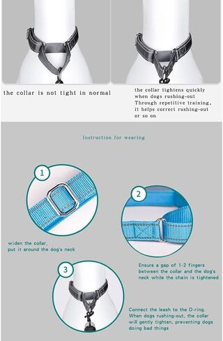 Reflective Martingale Dog Collar, NoBuckle Training Collar For Control & Safety. Service Dog Collar Available In A Vibrant, Colorful Collection, Suitable For Small Medium & Large Dogs Red Large in Saudi Arabia
