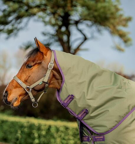 بطانية Horseware® Amigo® Hero Ripstop Plus Turnout Horse (200 جم متوسطة) in Saudi Arabia