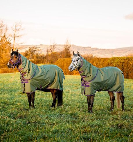 بطانية Horseware® Amigo® Hero Ripstop Plus Turnout Horse (200 جم متوسطة) in Saudi Arabia
