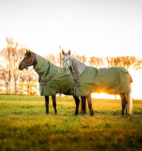 بطانية Horseware® Amigo® Hero Ripstop Plus Turnout Horse (200 جم متوسطة) in Saudi Arabia