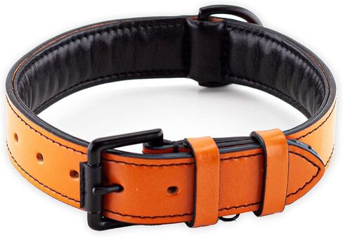 Brute Strength - Leather Dog Collar - Orange - L - Fits 18 1/8" and 20 7/8" Neck - Dog tag Ring - Full Grain Heavy Duty - Soft Padded - Handmade - Dog Collar for Large Dogs in Saudi Arabia