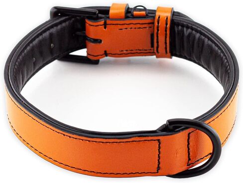 Brute Strength - Leather Dog Collar - Orange - L - Fits 18 1/8" and 20 7/8" Neck - Dog tag Ring - Full Grain Heavy Duty - Soft Padded - Handmade - Dog Collar for Large Dogs in Saudi Arabia