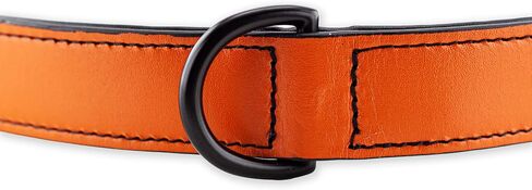Brute Strength - Leather Dog Collar - Orange - L - Fits 18 1/8" and 20 7/8" Neck - Dog tag Ring - Full Grain Heavy Duty - Soft Padded - Handmade - Dog Collar for Large Dogs in Saudi Arabia
