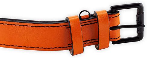 Brute Strength - Leather Dog Collar - Orange - L - Fits 18 1/8" and 20 7/8" Neck - Dog tag Ring - Full Grain Heavy Duty - Soft Padded - Handmade - Dog Collar for Large Dogs in Saudi Arabia