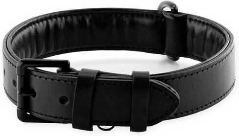 Brute Strength - Leather Dog Collar - Orange - L - Fits 18 1/8" and 20 7/8" Neck - Dog tag Ring - Full Grain Heavy Duty - Soft Padded - Handmade - Dog Collar for Large Dogs in Saudi Arabia