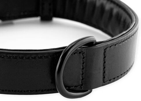 Brute Strength - Leather Dog Collar - Orange - L - Fits 18 1/8" and 20 7/8" Neck - Dog tag Ring - Full Grain Heavy Duty - Soft Padded - Handmade - Dog Collar for Large Dogs in Saudi Arabia