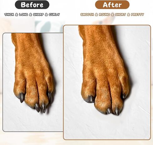 أداة تشذيب أظافر الكلاب والقطط مع ضوء LED، أداة تشذيب أظافر الكلاب الكهربائية القابلة لإعادة الشحن بسرعتين، مبرد أظافر 3 منافذ للكلاب والقطط الصغيرة والمتوسطة والكبيرة، مستلزمات العناية والتنعيم لمخالب الحيوانات الأليفة in Kuwait