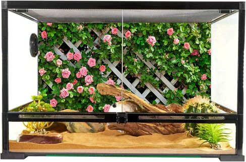 YongFoto Reptile Terrarium Background 72x24 inch Reptile Tank Background Botanical Plant Green Leaves Vine Wall Reptile Habitat Background Bearded Dragon Fish Tank Aquarium Background Backdrop in Kuwait
