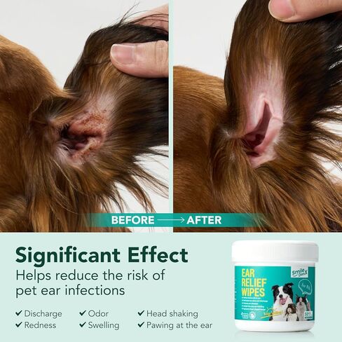 مناديل مبللة لتنظيف أسنان الكلاب - مناديل مبللة لتنظيف أسنان القطط - مجموعة تنظيف أسنان الكلاب in Kuwait