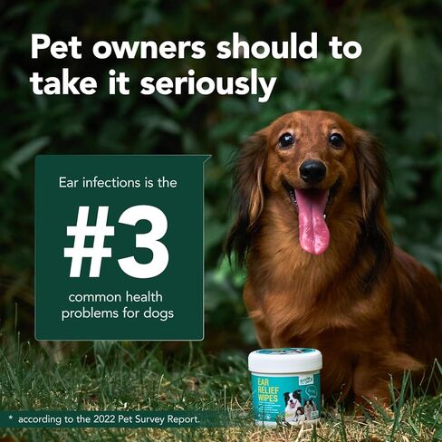 مناديل مبللة لتنظيف أسنان الكلاب - مناديل مبللة لتنظيف أسنان القطط - مجموعة تنظيف أسنان الكلاب in Kuwait