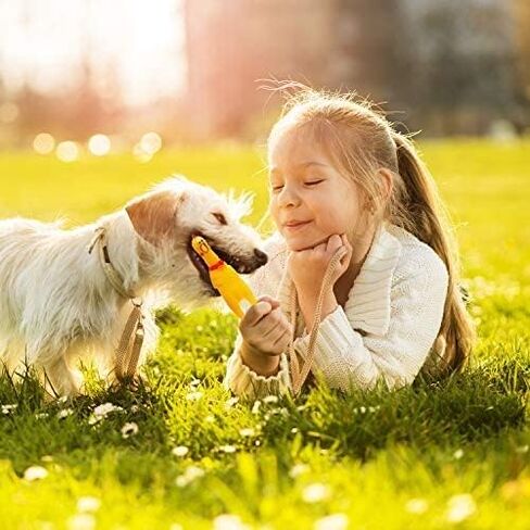 KUJOBUY Small - 1 Pack - Screaming Yellow Rubber Chicken Dog Toy Non Toxic Bite-Resistant Squeaky Toy Lovely Baby Dog Safe Latex Rubber Pet Toy Gift in Kuwait