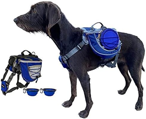 Saddlebag Back Pack & Harness Combo for Dogs 30-100+ lbs. Perfect for Travel, Trail Hiking, & Camping. Reflective, Lightweight, & Comfortable. Comes with Two Collapsible Bowls (Medium, Blue) in Saudi Arabia