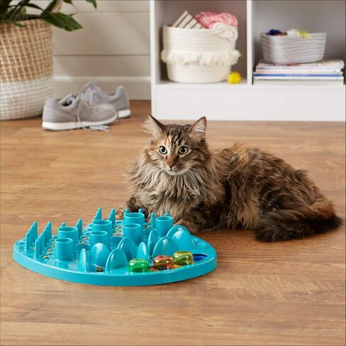 Amazon Basics Pet Activity Center and Feeder, Purple in Saudi Arabia
