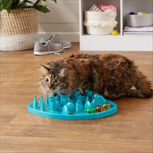 Amazon Basics Pet Activity Center and Feeder, Purple in Saudi Arabia