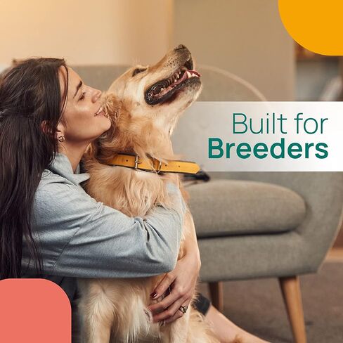 Dog Pregnancy Test for Breeders - Accurate Results and Clear Instructions - Blood Test with Additional Requirements, Check Product Details Before Purchase - at Home Canine Pregnancy Test Kit - 2-Pack in Saudi Arabia