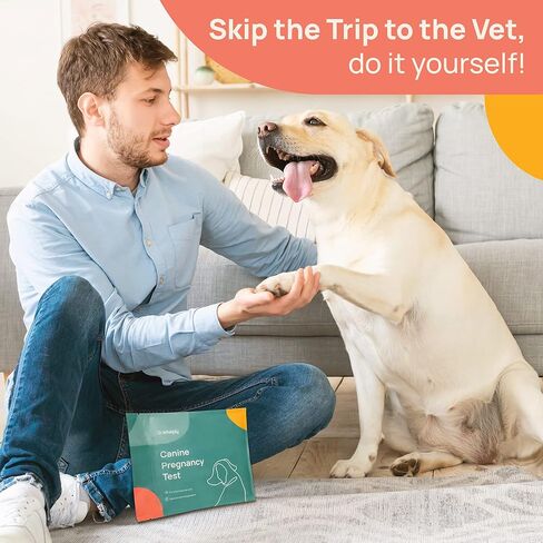 Dog Pregnancy Test for Breeders - Accurate Results and Clear Instructions - Blood Test with Additional Requirements, Check Product Details Before Purchase - at Home Canine Pregnancy Test Kit - 2-Pack in Saudi Arabia