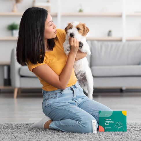 Dog Pregnancy Test for Breeders - Accurate Results and Clear Instructions - Blood Test with Additional Requirements, Check Product Details Before Purchase - at Home Canine Pregnancy Test Kit - 2-Pack in Saudi Arabia