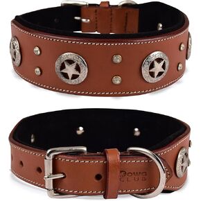 | Punk Series Genuine Leather Dog Collar | Full Grain, Saddle Grade, Heavy Duty | Luxury, Stylish, Comfortable, Best for Medium, Large, XL Breeds | (M (Neck Size 14.5"-18.5"), Black)