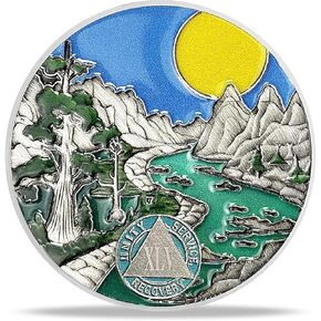 4 Year Sobriety Coin Gifts | River and Forest AA Coin - HA AA Chip Medallion with Serenity Prayer | Narcotics Alcoholics Anonymous Gifts for Anniversary Month & Year for Men & Women in Recovery