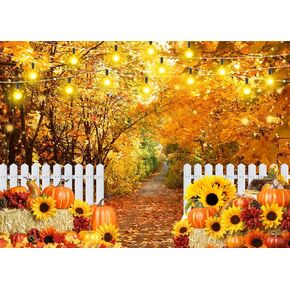 LYCGS 7X5ft Fall Backdrop Autumn Backdrops for Photography Autumn Maple Forest Pumpkin Hay Stack Photo Background Fall Theme Backdrop Fall Festival Backdrop Fall Party Backdrop X-304