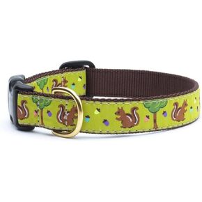 Up Country Nuts Dog Collar (S (9-15"); Wide 1")