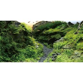 AWERT 48x24 inches Seagrass Aquarium Background Aquarium Background Aquatic Plant River Bed & Lake Fish Tank Background Vinyl Background