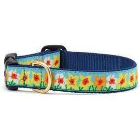 Up Country Daffodil Dog Collar, X-Small (6 to 12 inches) 5/8 inch Narrow Width