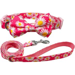 Bowtie Dog Collar and Leash Set, Nylon Webbing with Leopard Ribbon, 5ft Matching Leash, for Medium Dogs.(M, Leopard) in Saudi Arabia