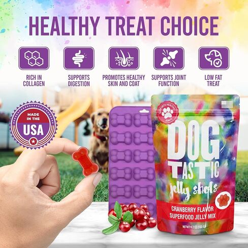 SodaPup Dogtastic Jelly Shots – Mango Flavored, Fruity Gelatin Mix Superfood Dog Treat Made in USA, Packed with Collagen and Health Benefits for Digestion, Gut, Joints, Skin, Fur, & Coat – 4.7oz in Saudi Arabia